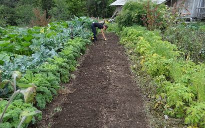 Comment choisir les matériels de culture pour potager ?