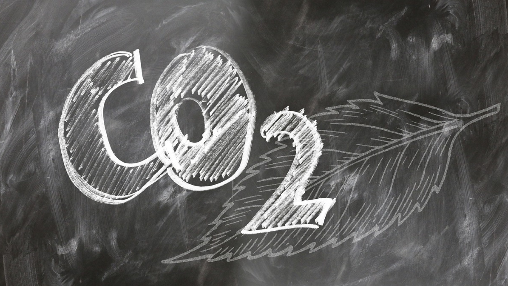 Les consultants en bilan carbone : des alliés pour réduire votre empreinte écologique !