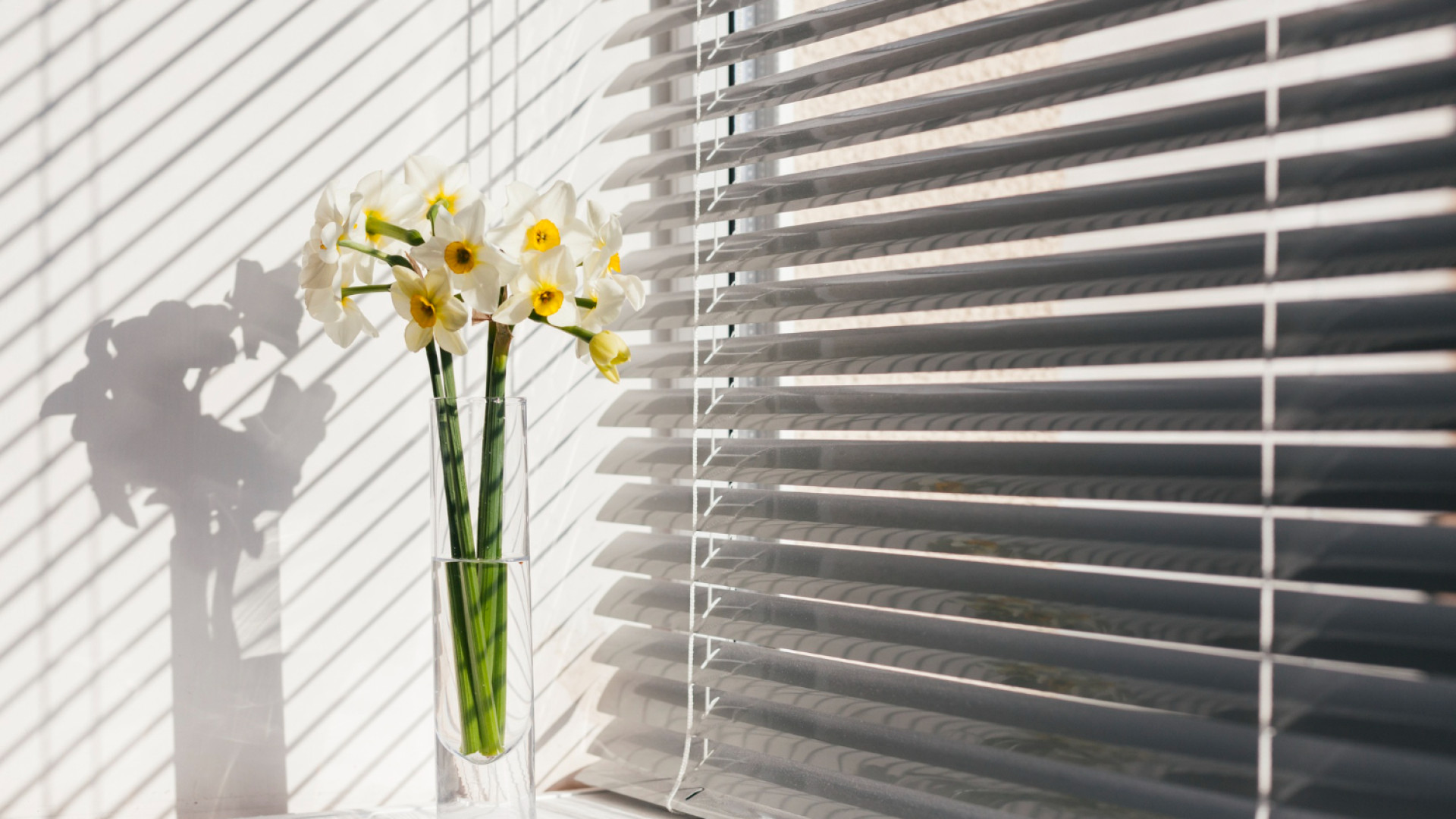 Protéger vos meubles du soleil grâce à des stores intérieurs adaptés