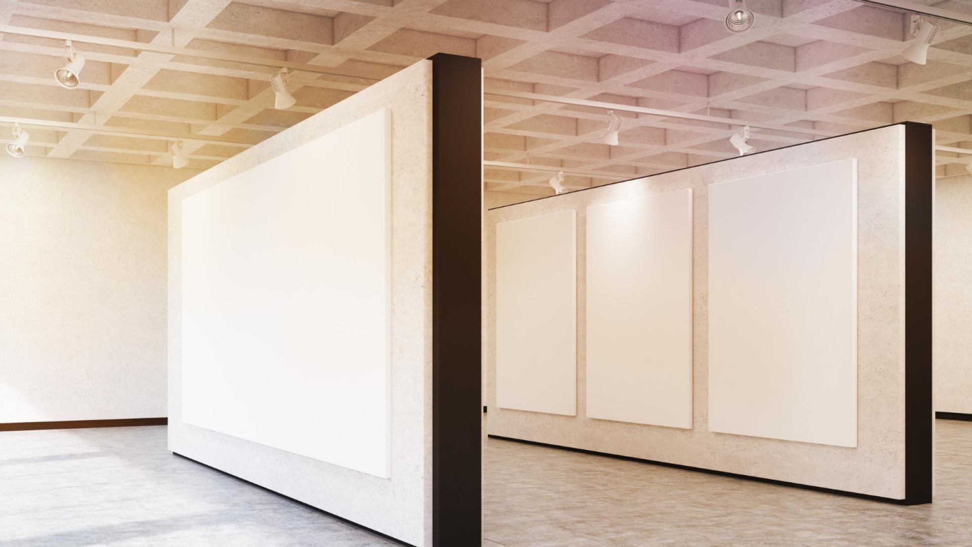 Cloisons modulaires de musée : l’outil incontournable pour repenser vos espaces d’exposition