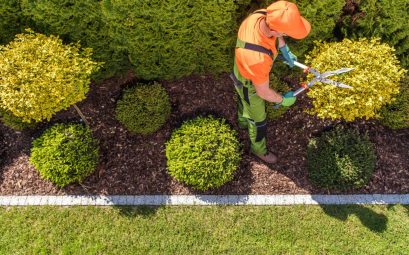 Comment bien préparer son projet avec un paysagiste dans le Beaujolais ?