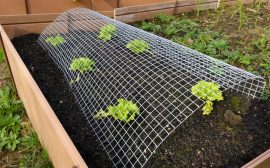 Monofilaments agricoles : innovation pour la motoculture et les espaces verts