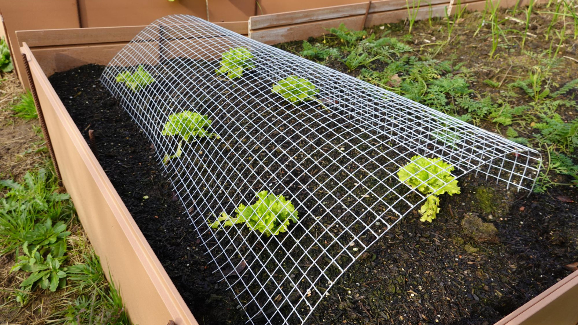 Monofilaments agricoles : innovation pour la motoculture et les espaces verts