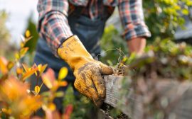 Comment trouver un service de jardinier à domicile fiable ?