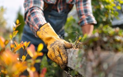 Comment trouver un service de jardinier à domicile fiable ?