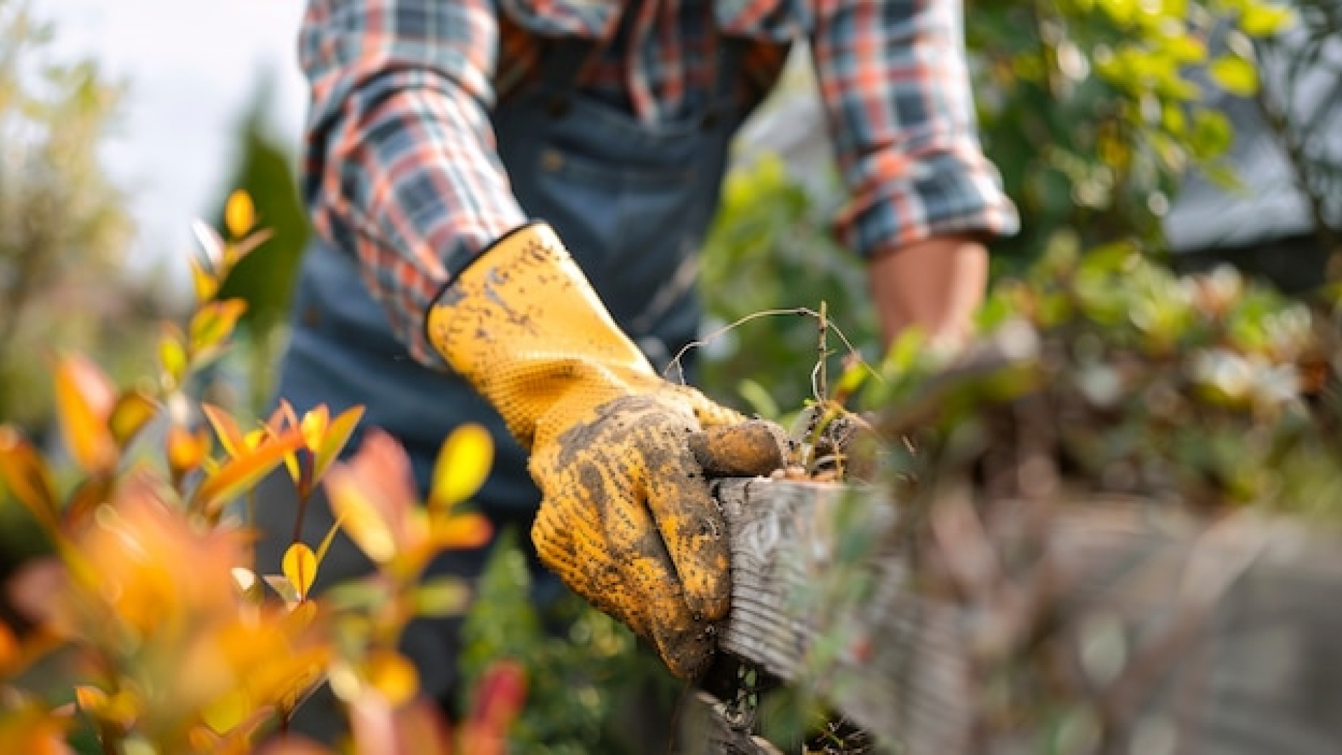 Comment trouver un service de jardinier à domicile fiable ?
